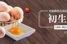 德州和膳生態(tài)農(nóng)業(yè)有限公司堅持"誠實守信"的原則為廣大客戶提供優(yōu)質的服務